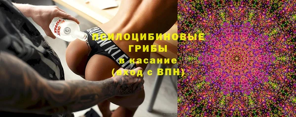 молекула духа Баксан
