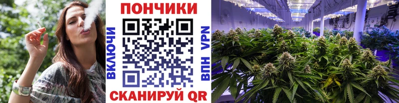Бошки Шишки LSD WEED  Купить закладки  Нефтекумск 